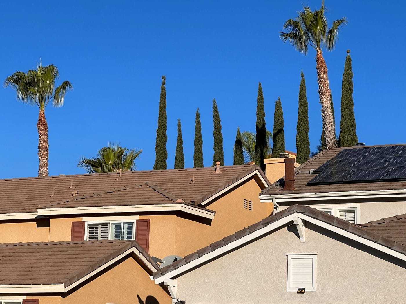 Residential rooftops and palms in north Orange County